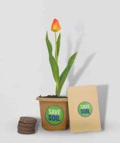 Save Soil Veggie Kit, Carrots Sprint